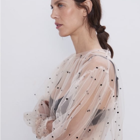 ISO Semi sheer polka dot top Zara in search of - Picture 2 of 2